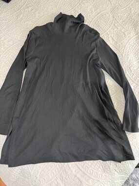 J. Jill Tunic Turtleneck